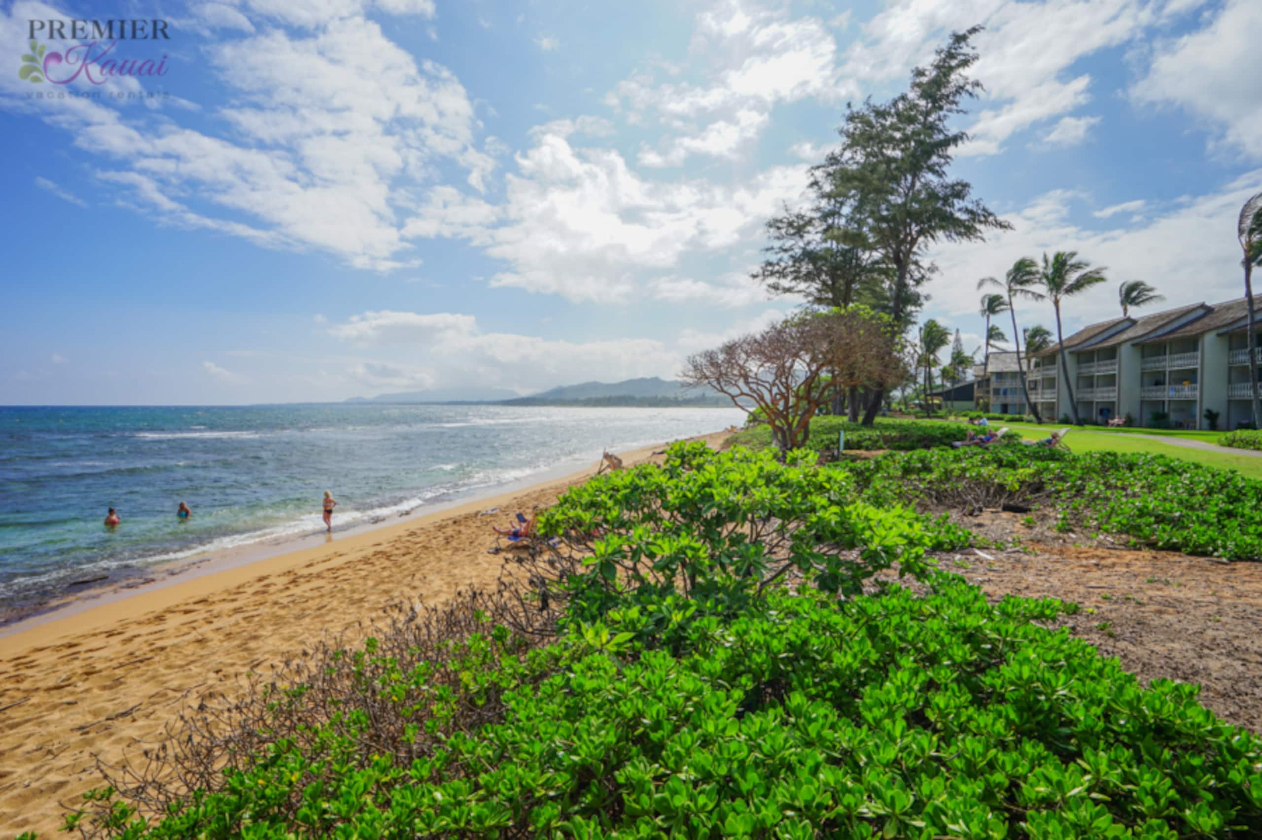 Condo in Kapaa · ★4.75 · 1 bedroom · 2 beds · 1 bath - Image 31