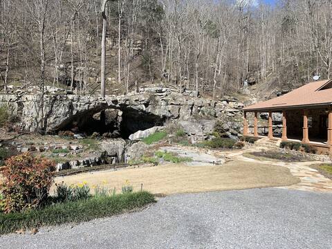 Natural Beauty at the Natural Bridge