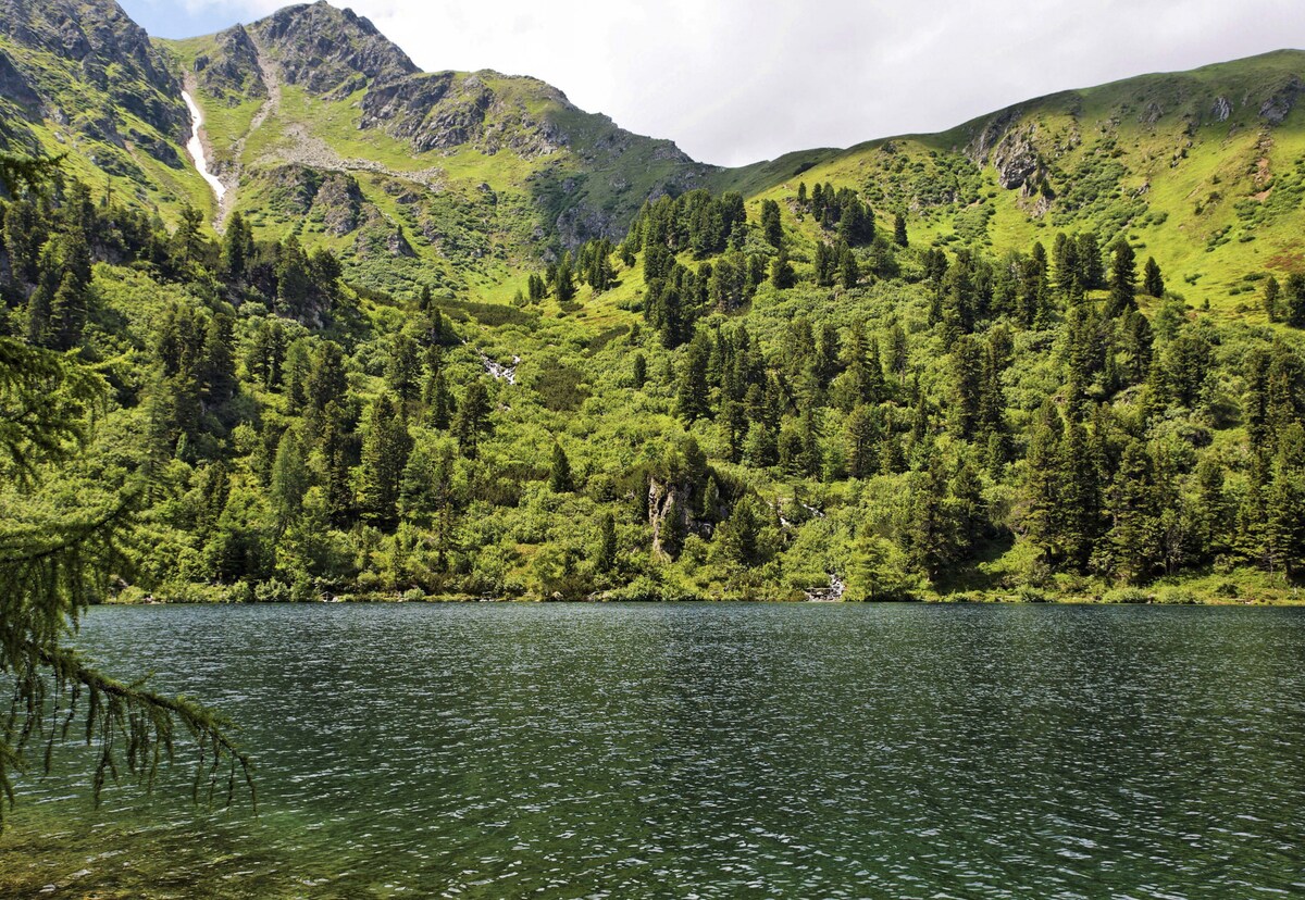 A serene mountain lake is nestled amidst lush greenery, with gentle hills and peaks rising in the background. The calm water reflects the surrounding trees and foliage, creating a peaceful natural atmosphere. Sunlight filters through the clouds, enhancing the vibrant colors of the landscape.