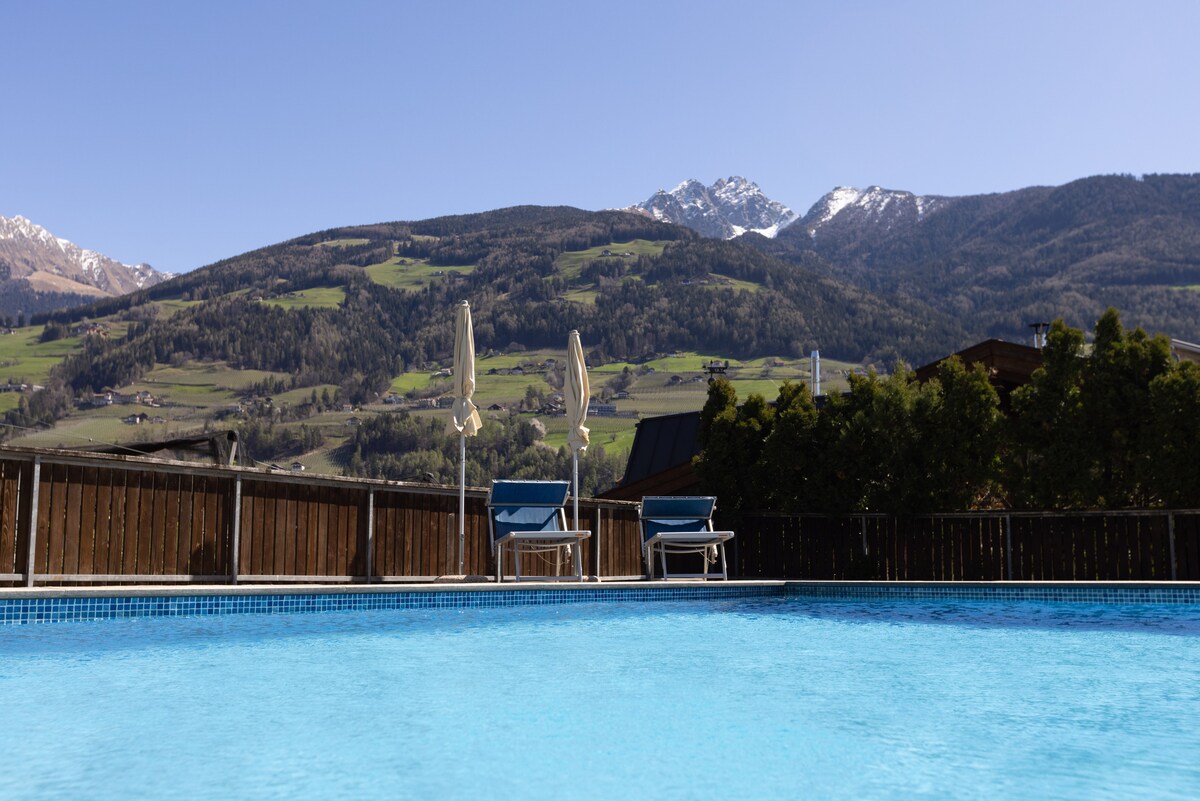 A swimming pool is shown with clear blue water, surrounded by wooden fencing. In the background, the majestic Alps rise under a clear blue sky, with sun loungers positioned nearby for relaxation.