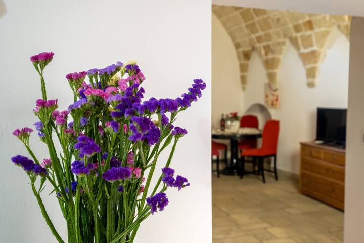 Panaka – Bottega dello Speziale gallery image 5