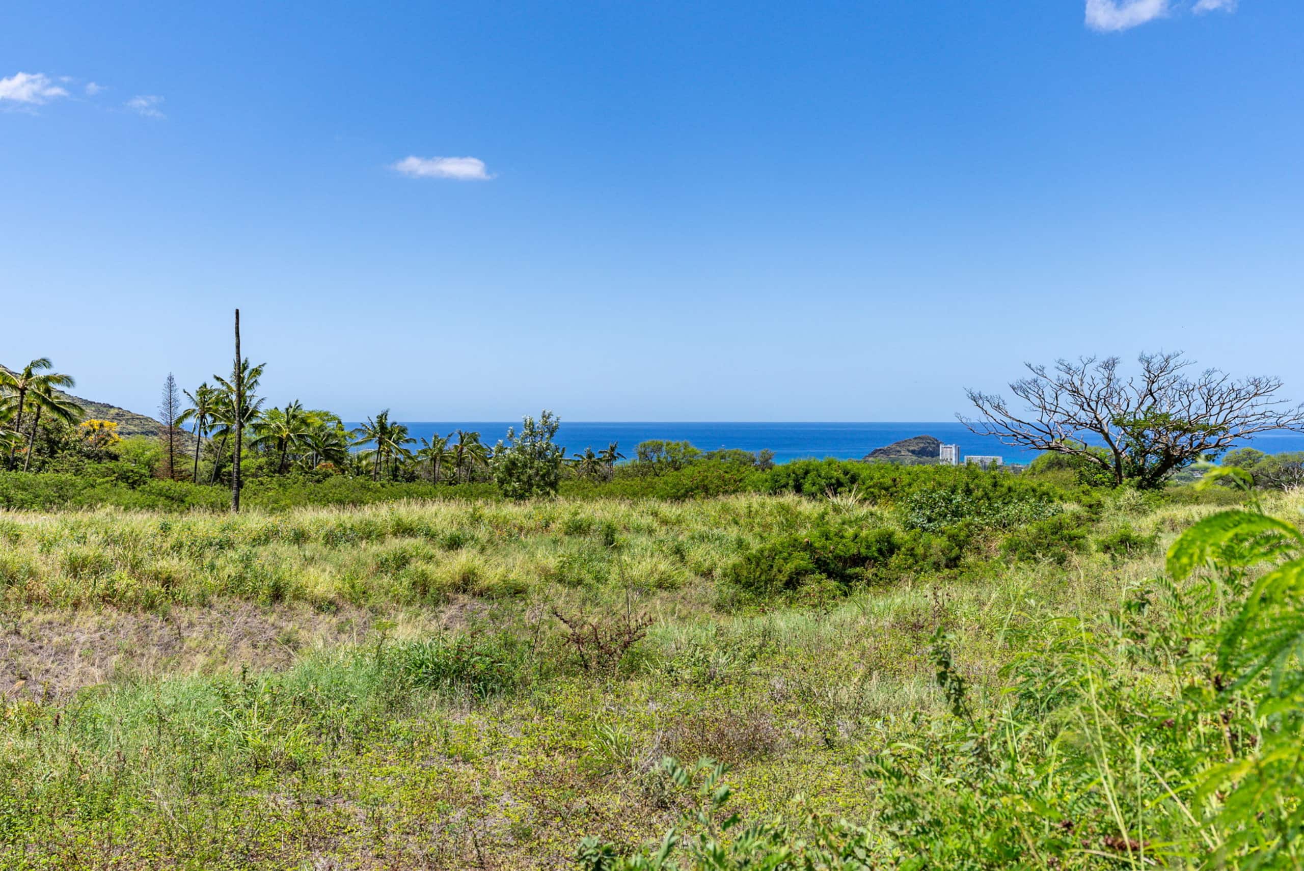 Home in Waianae · ★4.96 · 4 bedrooms · 7 beds · 2.5 private baths - Image 79