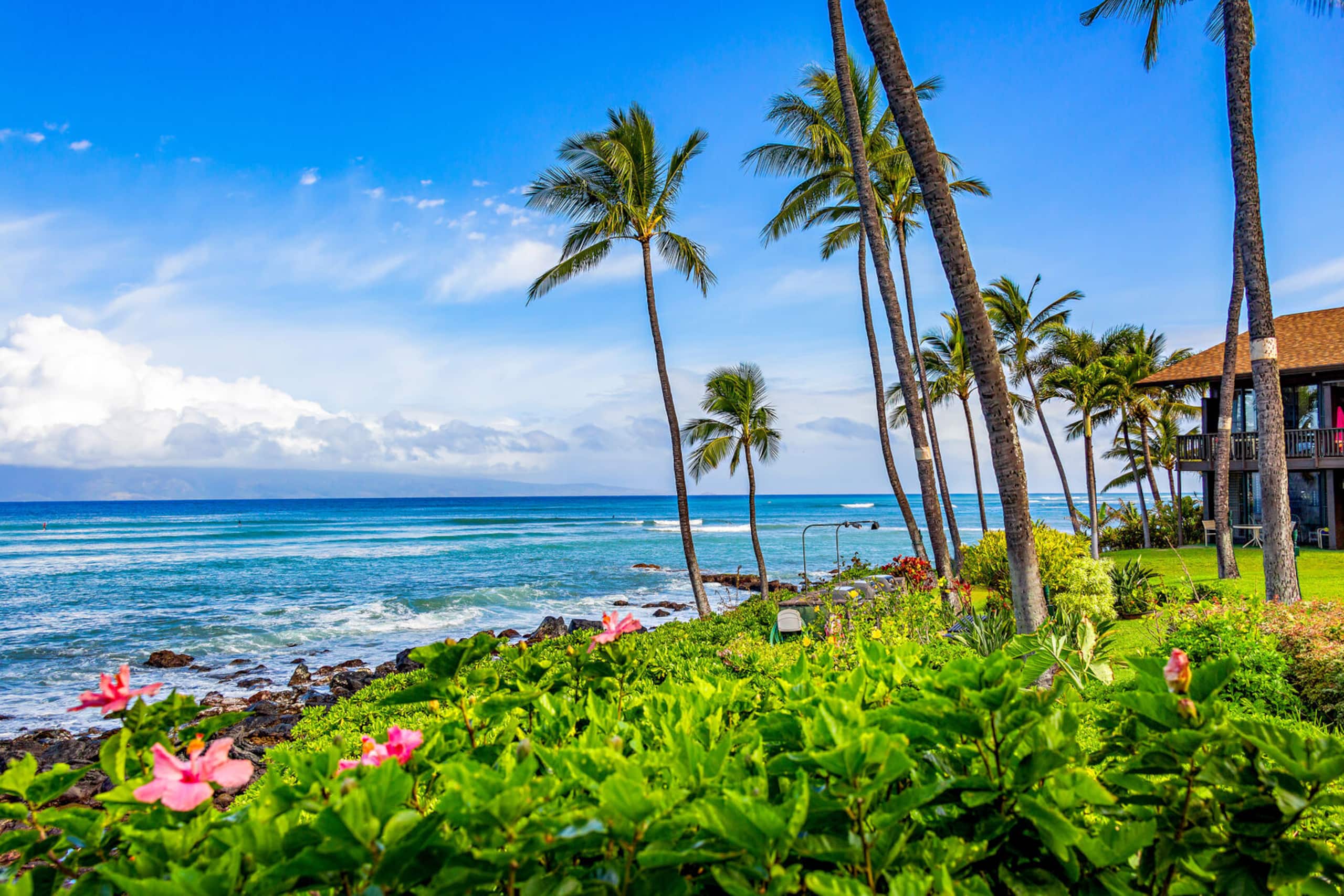 Condo in Lahaina · ★4.5 · 2 bedrooms · 2 beds · 2 baths - Image 36
