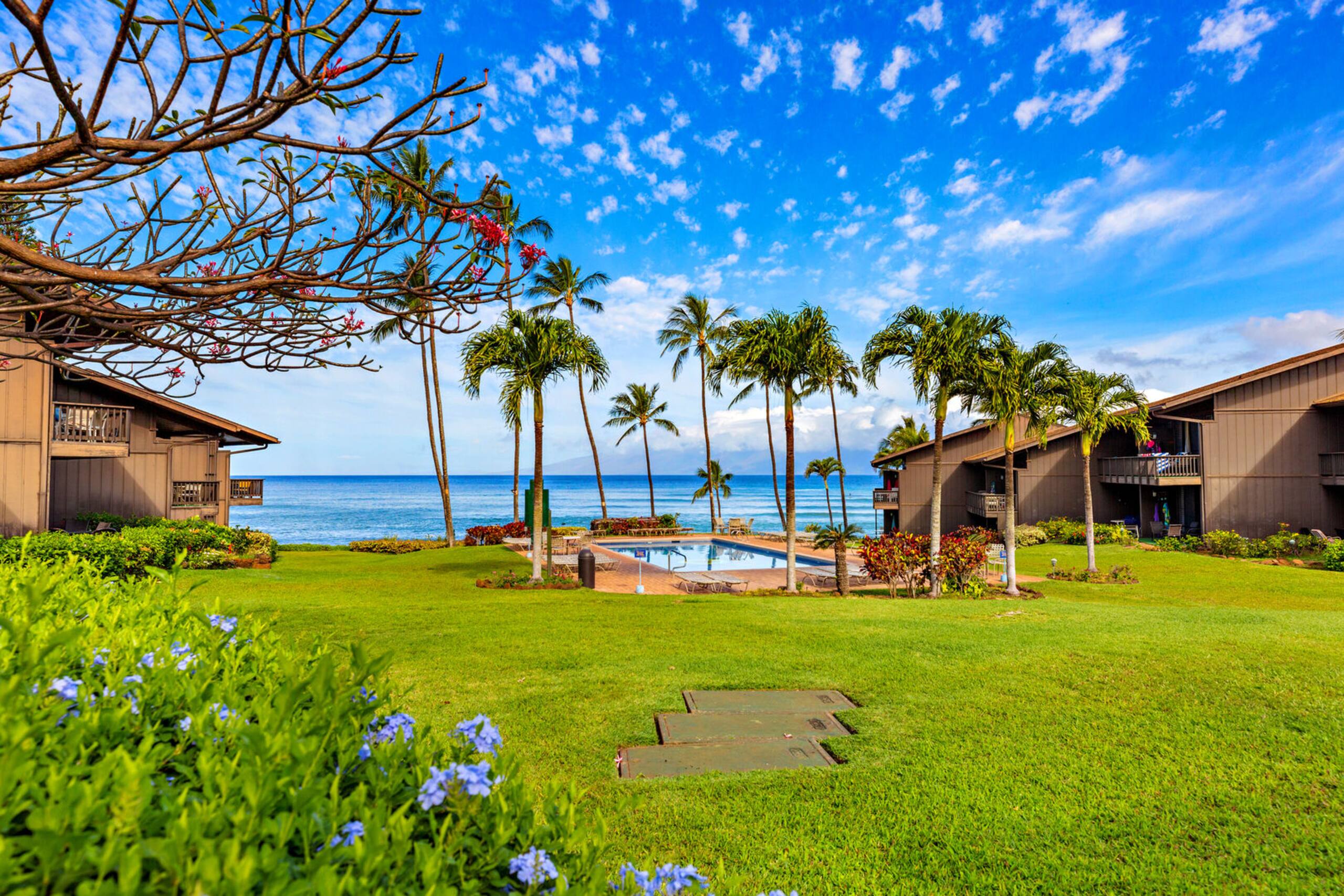Condo in Lahaina · ★4.5 · 2 bedrooms · 2 beds · 2 baths - Image 34