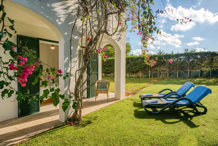 Las Violetas gallery image 5