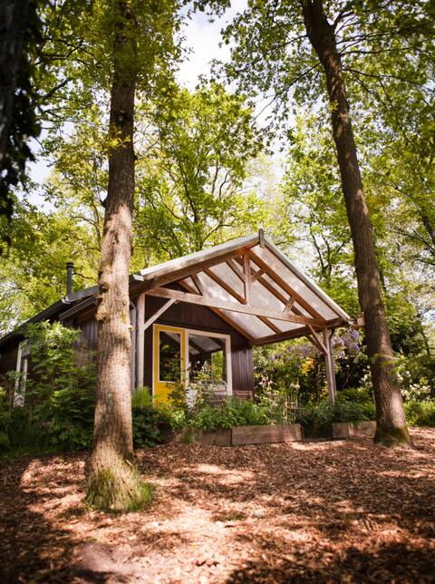 Cozy forest cottage under the oaks