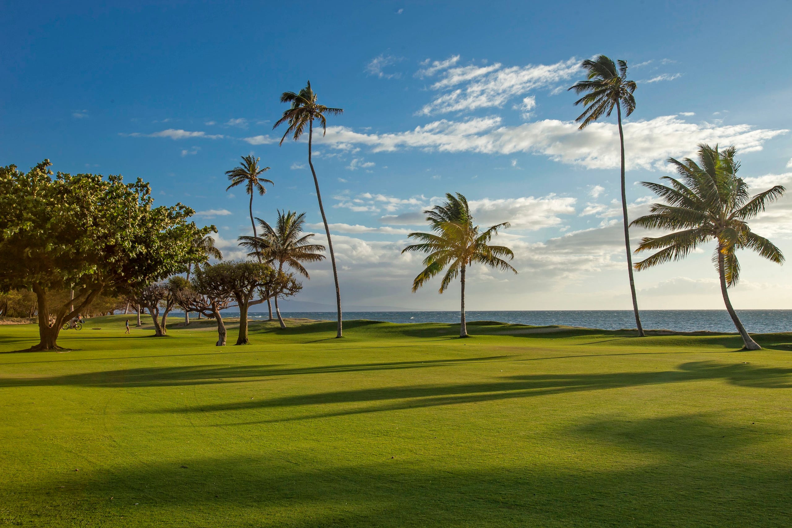 Condo in Kihei · ★5.0 · 2 bedrooms · 4 beds · 2 private baths - Image 31