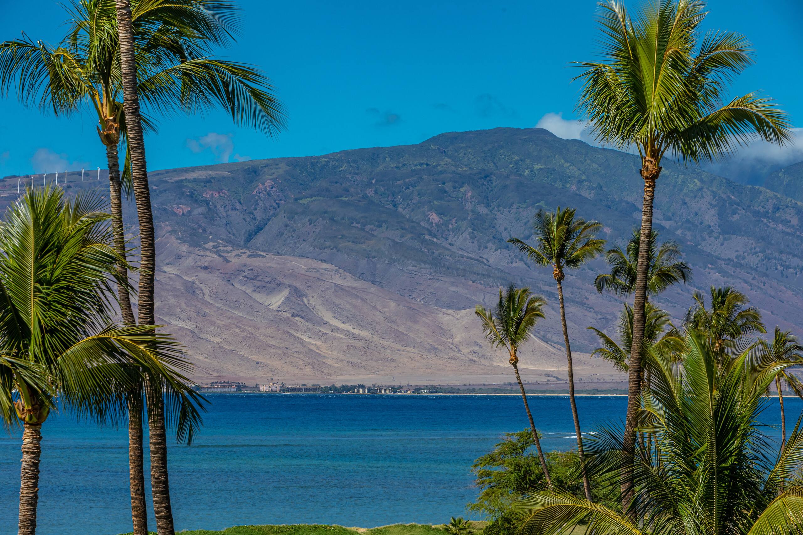 Condo in Kihei · ★5.0 · 2 bedrooms · 4 beds · 2 private baths - Image 42