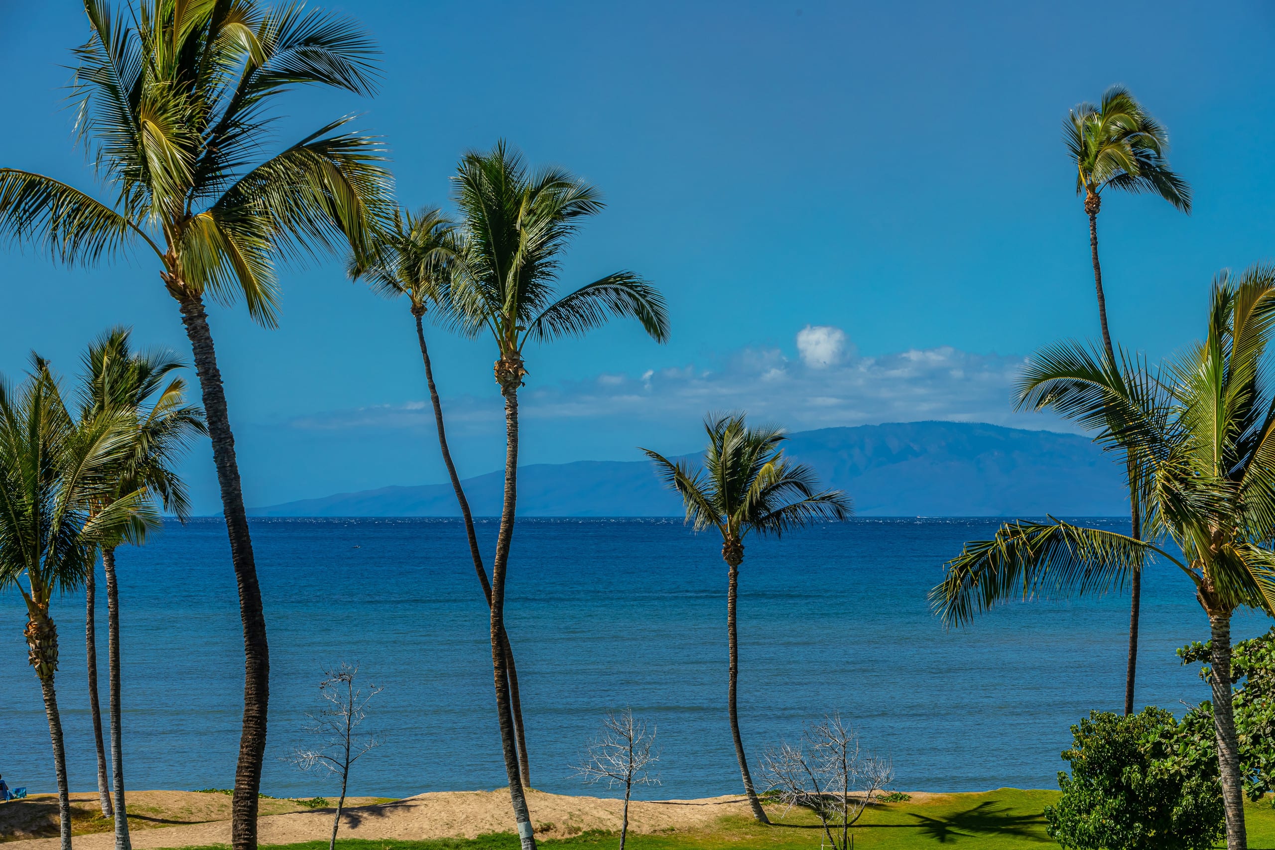 Condo in Kihei · ★5.0 · 2 bedrooms · 4 beds · 2 private baths - Image 40
