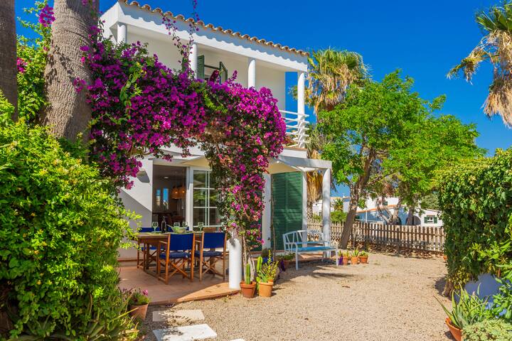 Aloes gallery image 2