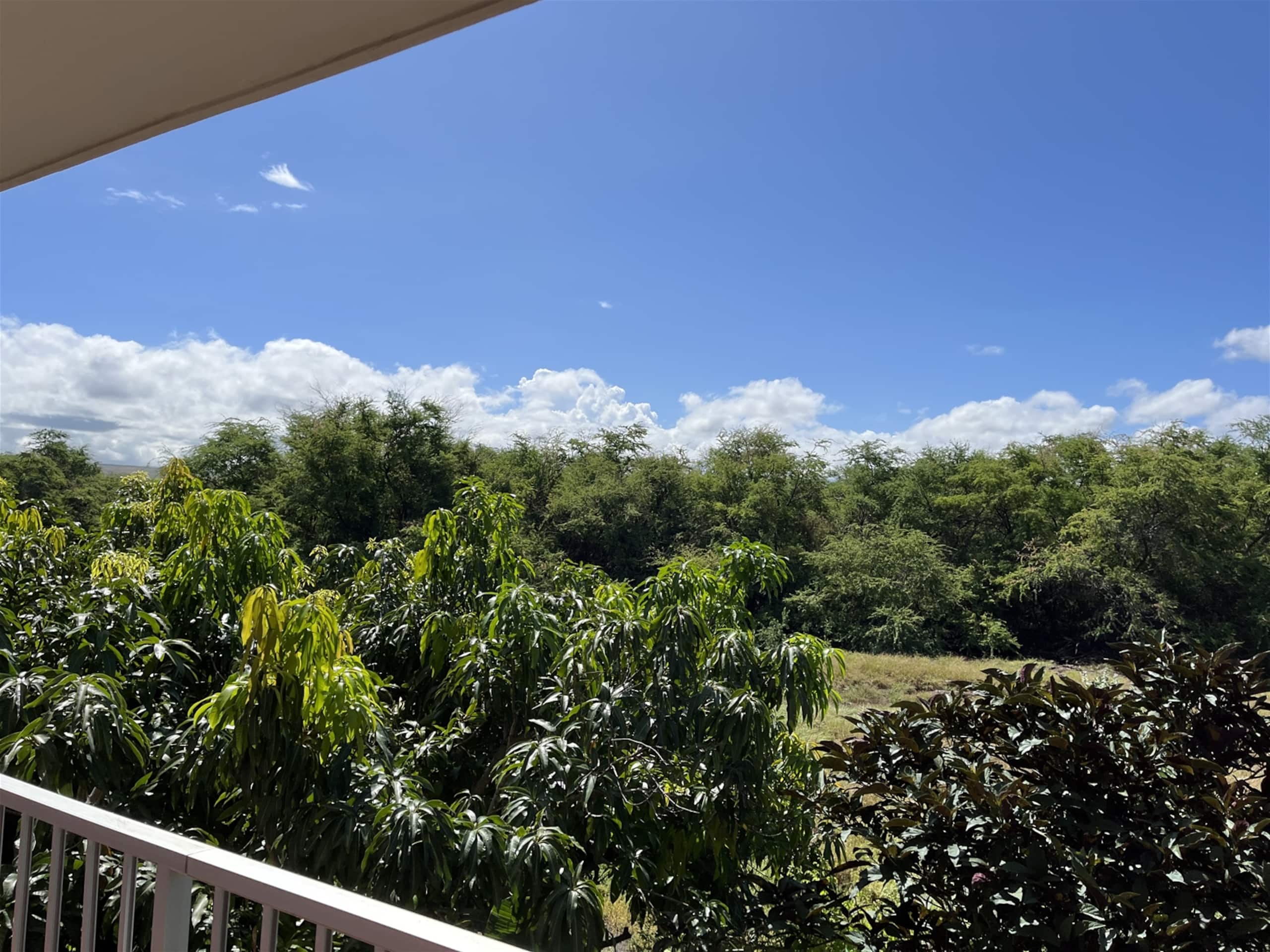 Condo in Waimea · ★5.0 · 3 bedrooms · 4 beds · 2 baths - Image 51