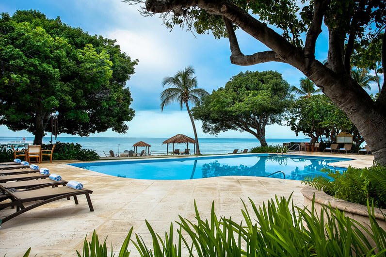 A serene pool area is framed by lush greenery and palm trees, offering views of the ocean in the distance. Comfortable loungers line the pool's edge, and thatched-roof cabanas are visible nearby, providing inviting spots for relaxation.