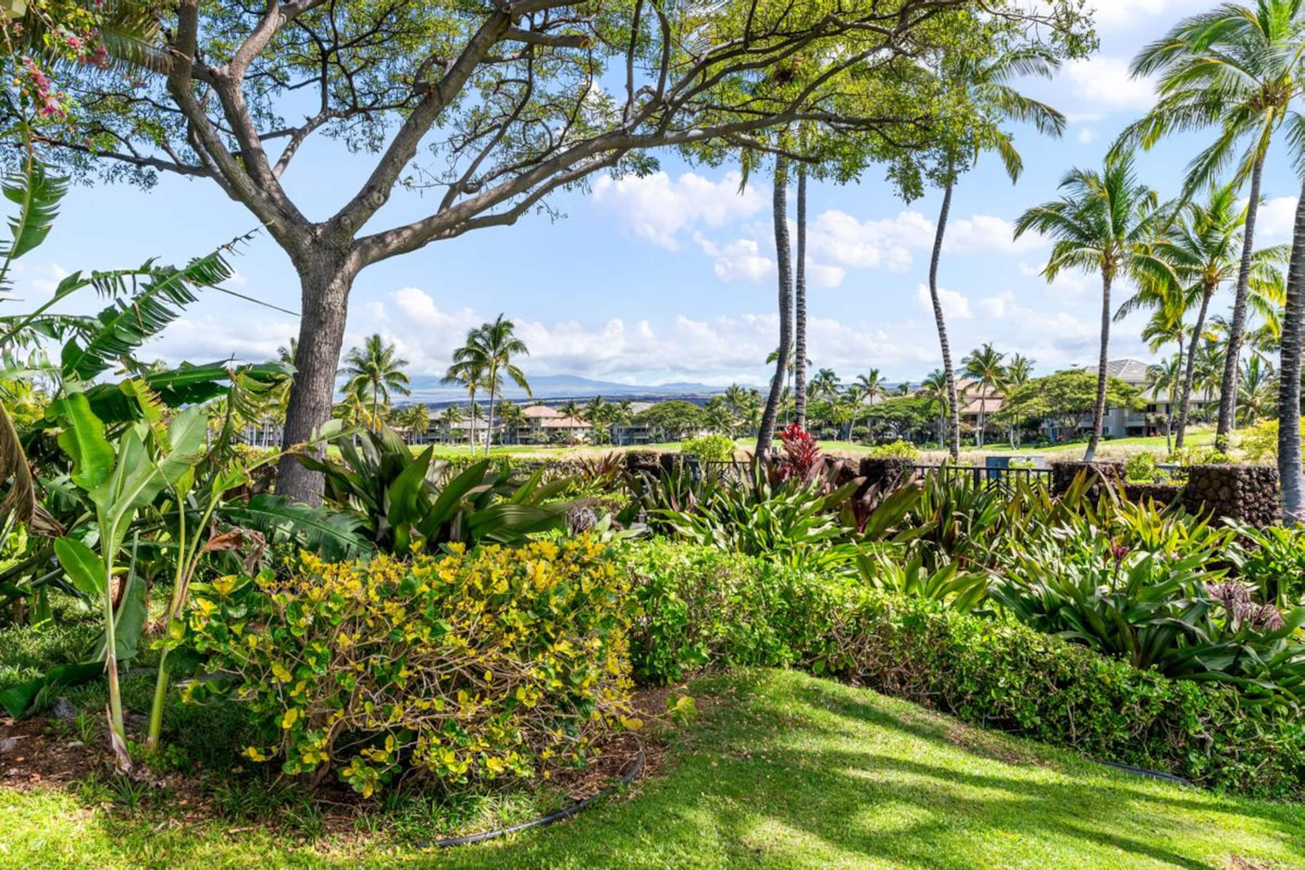 Townhouse in Waikoloa Beach Resort · ★4.85 · 3 bedrooms · 5 beds · 3 shared baths - Image 53