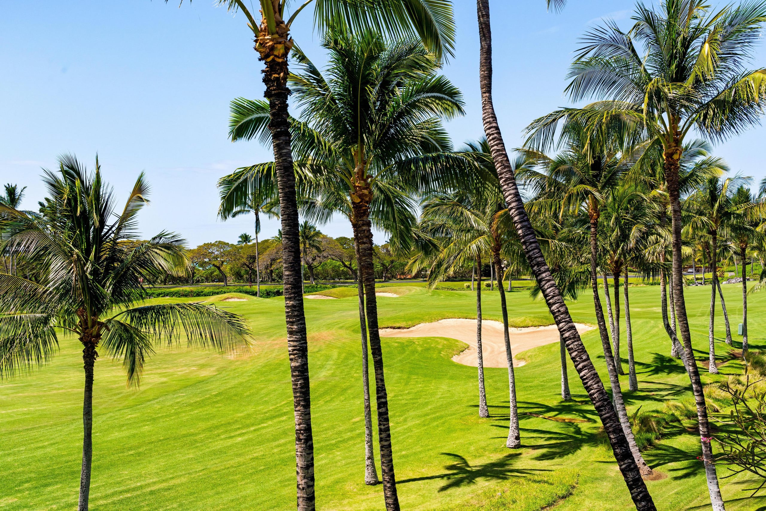Great Location and lake views K31 Waikoloa - Photo 42