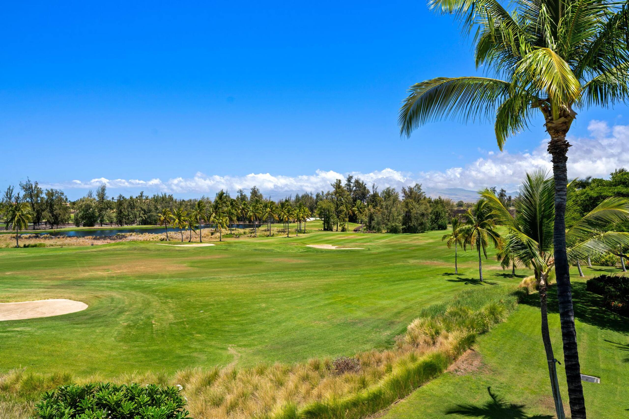 Hilton Pool Pass for 2026 J33 Waikoloa Beach - Photo 56