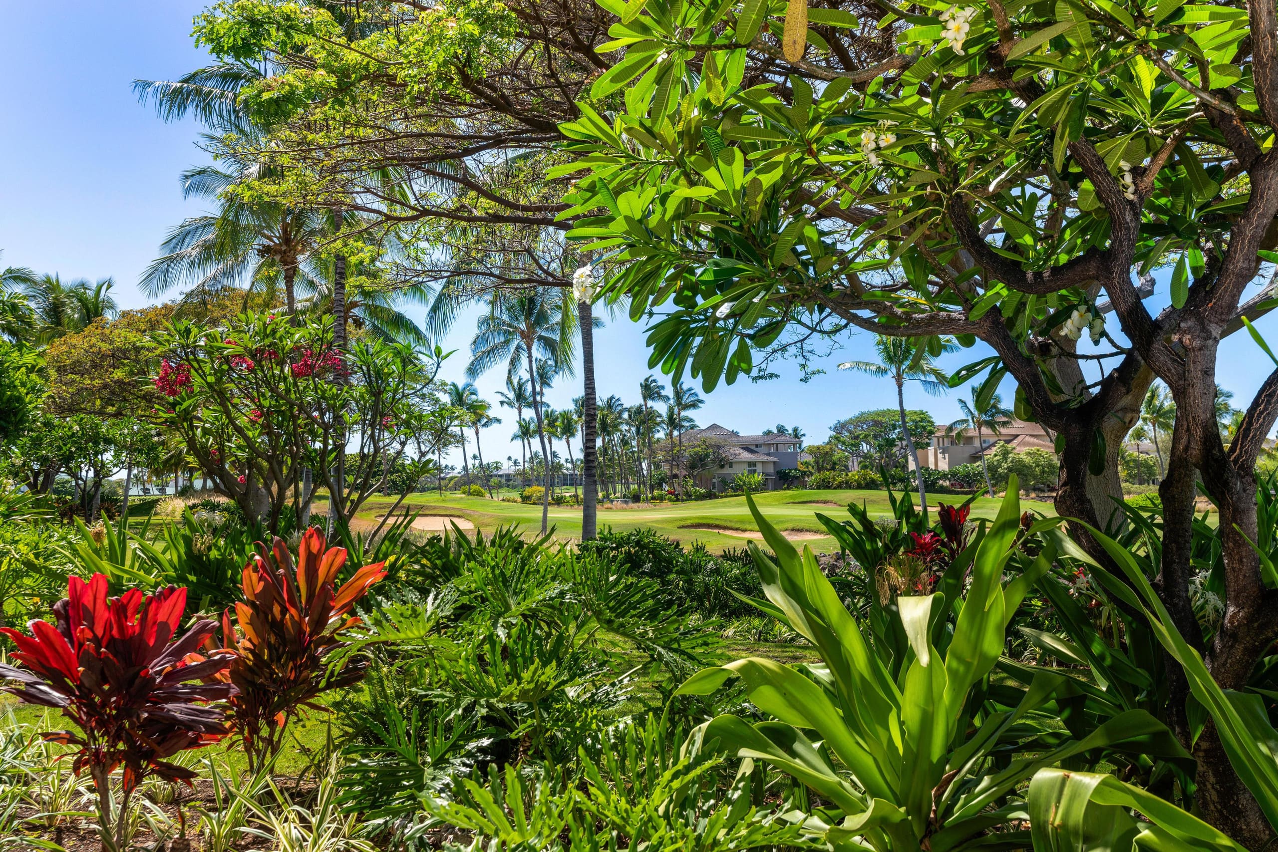 Includes Beach Gear I2 Waikoloa Beach Villas - Photo 44