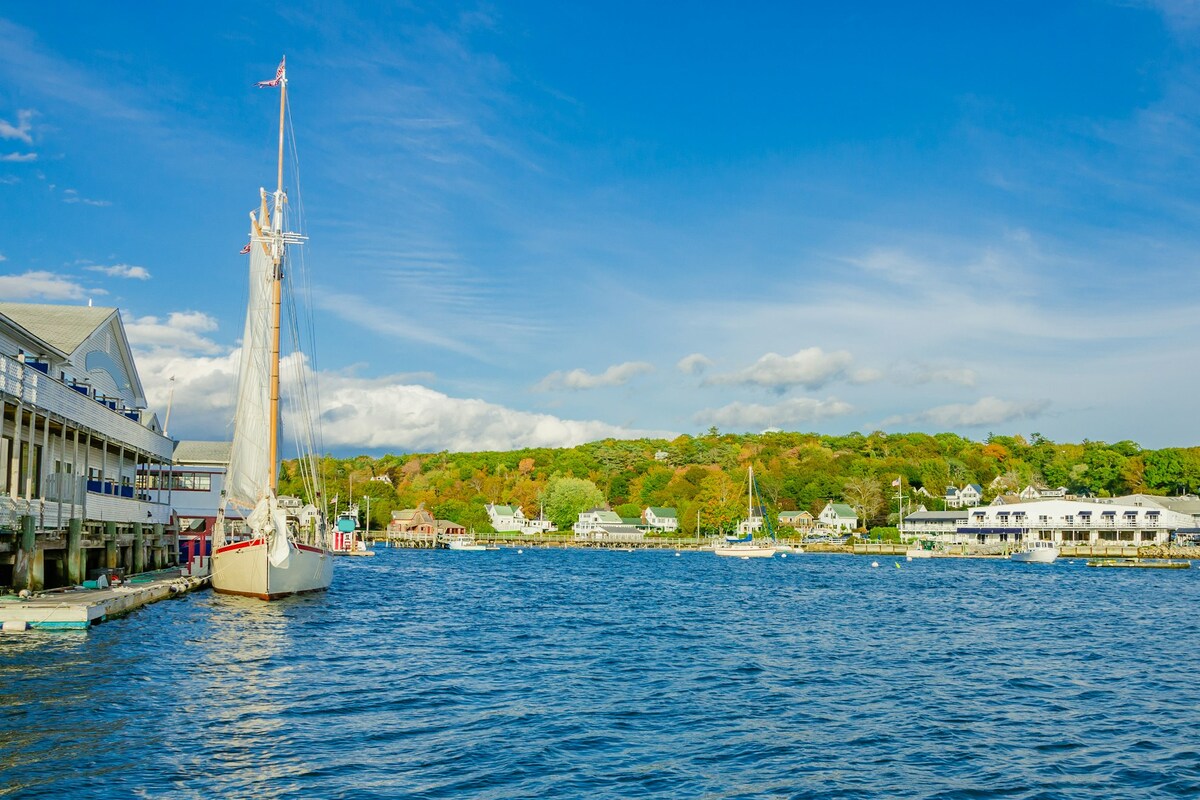 A sailboat rests in the calm waters of Boothbay Harbor, with vibrant greenery along the shoreline. A variety of boats are seen dotting the harbor, while clear blue skies provide a bright backdrop. The area is framed by charming waterfront buildings and homes.