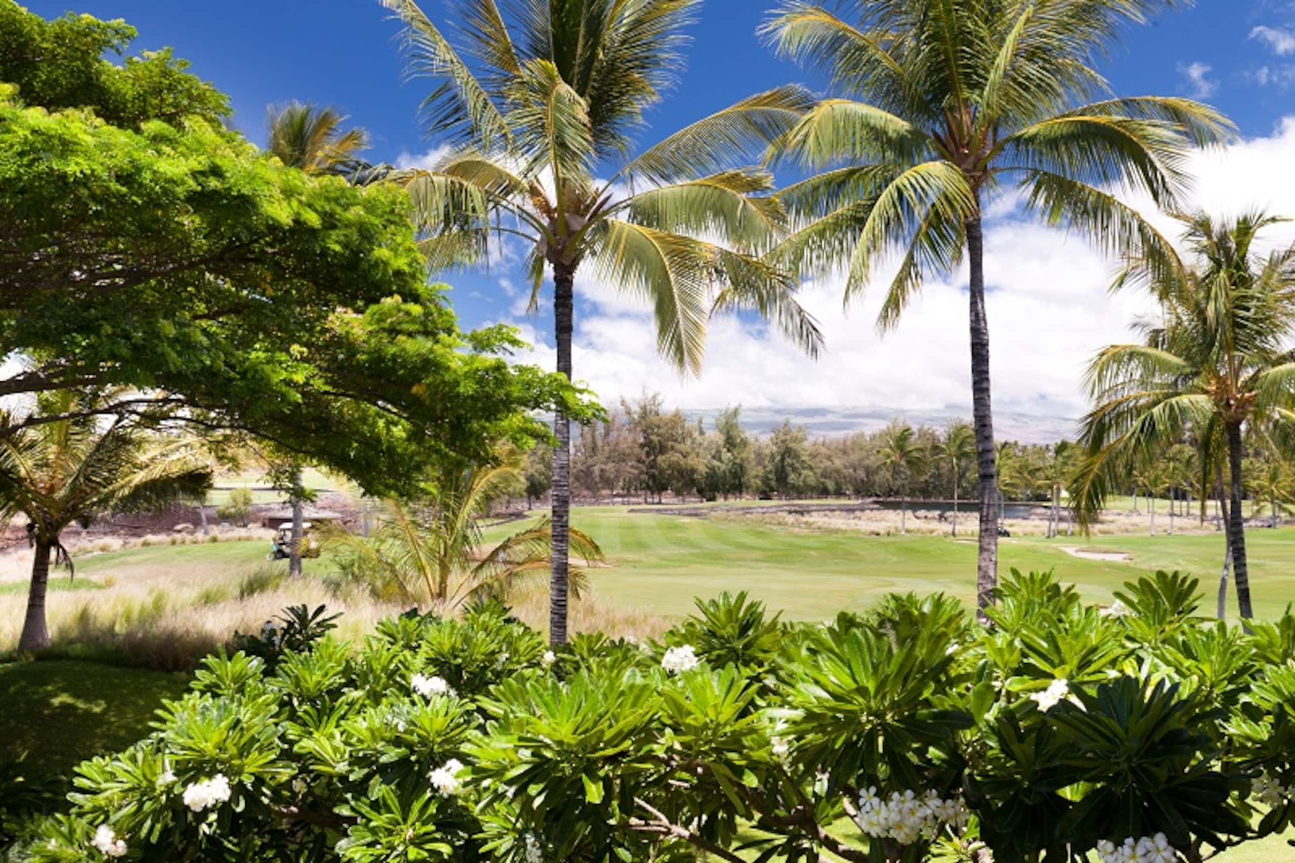 Includes Beach gear G1 Waikoloa Beach Villas - Photo 31