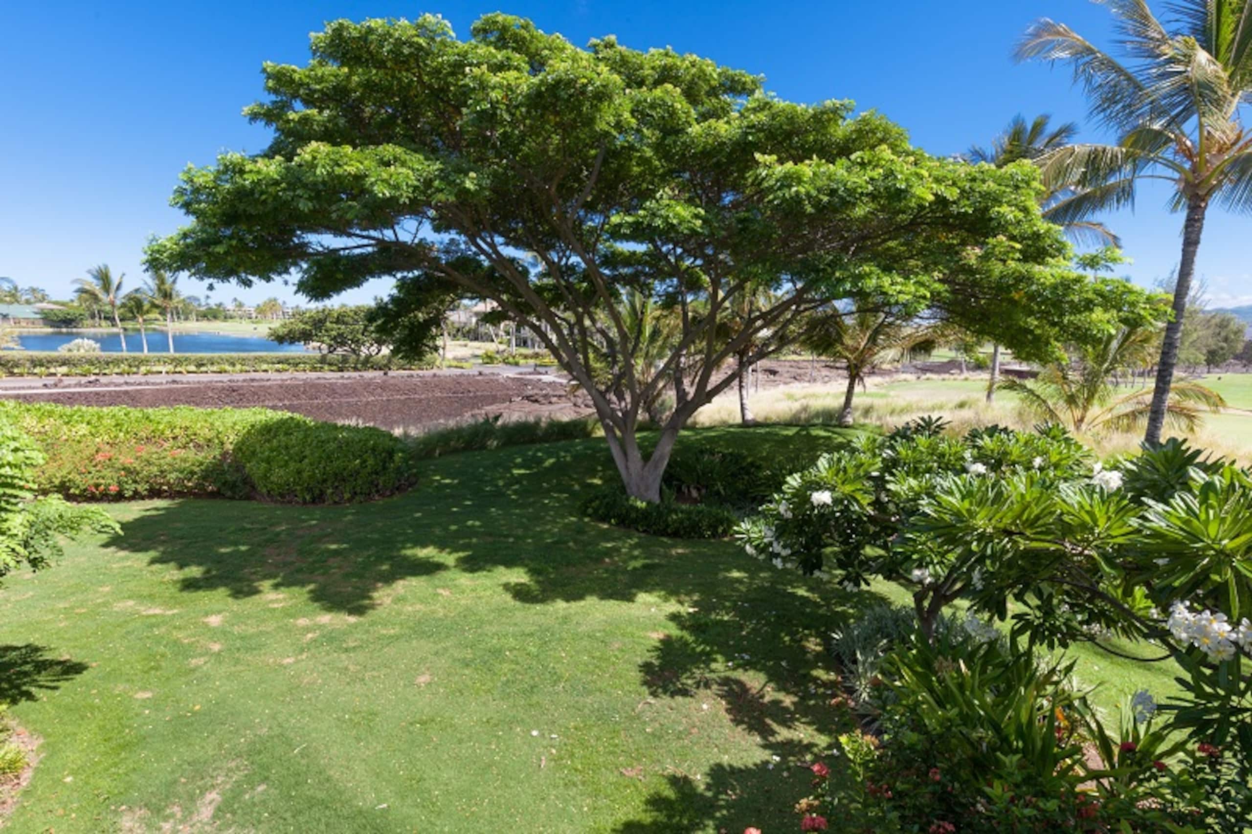 Includes Beach gear G1 Waikoloa Beach Villas - Photo 33