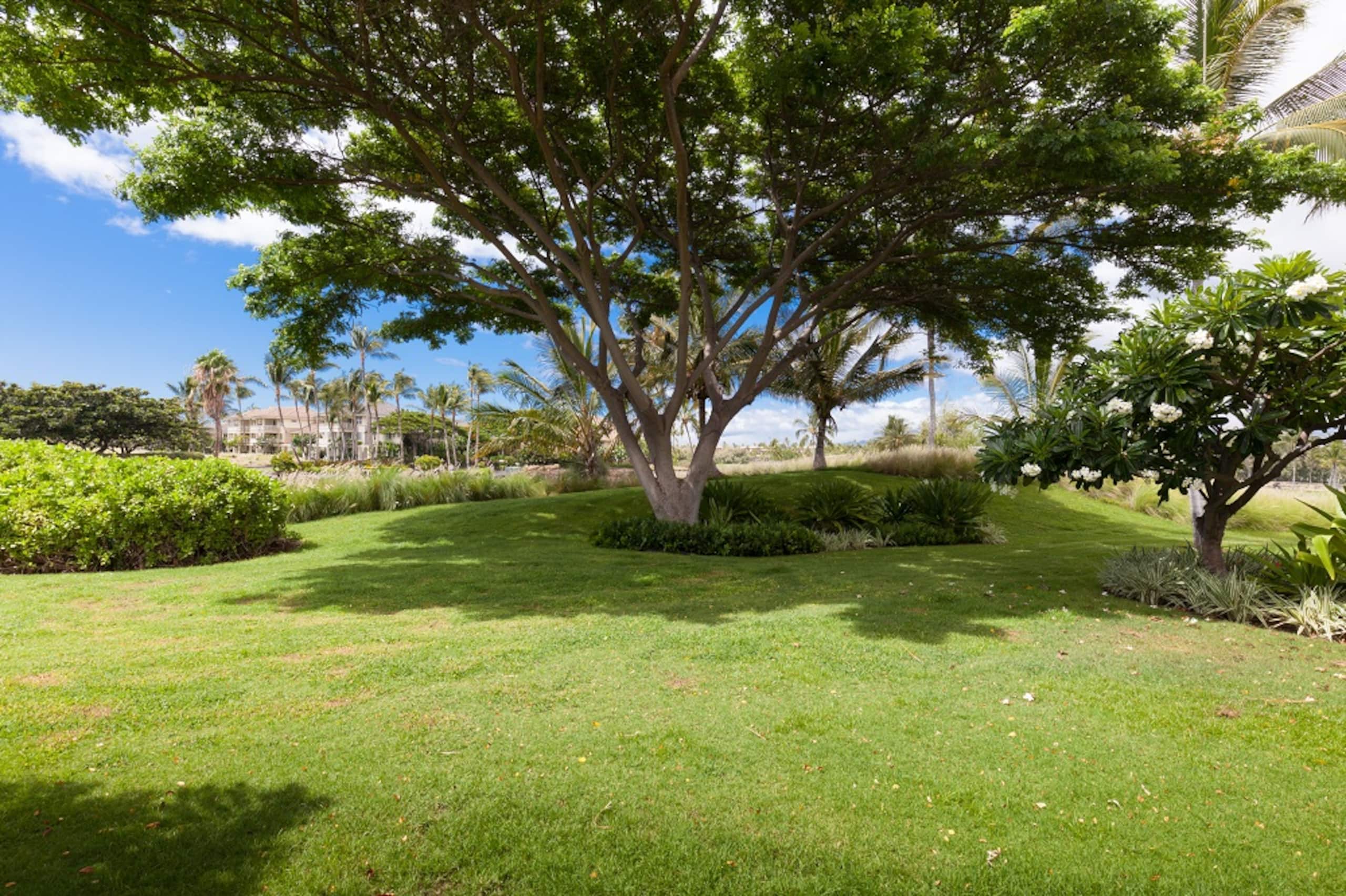 Includes Beach gear G1 Waikoloa Beach Villas - Photo 34