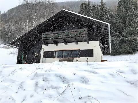Lovely rural authentic hunter's house
