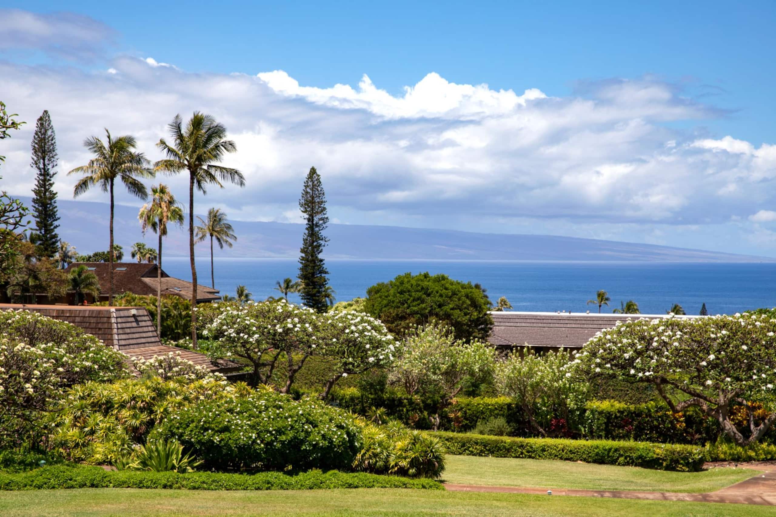 Condo in Lahaina · ★4.43 · 3 bedrooms · 5 beds · 2 baths - Image 39