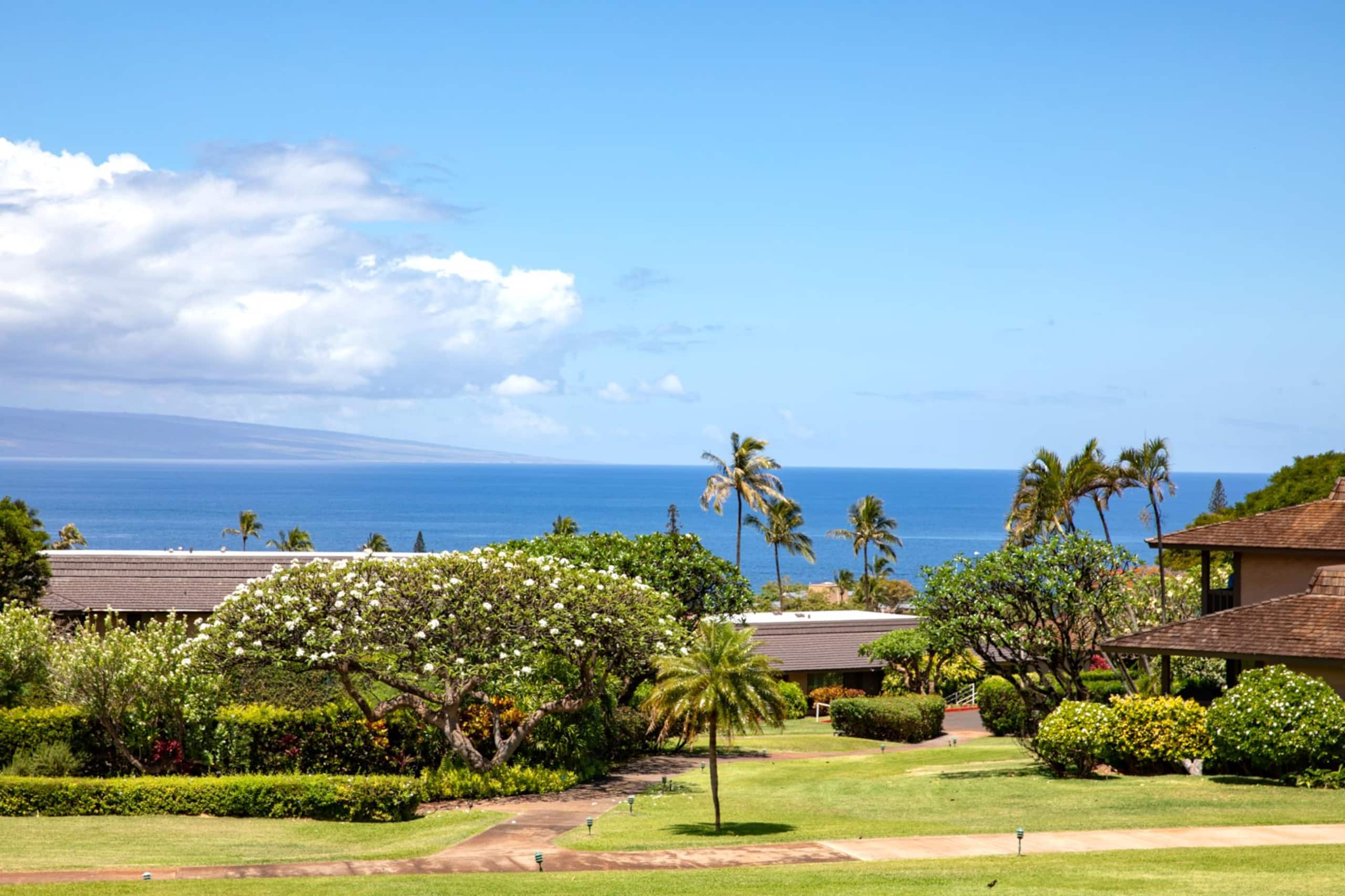 Condo in Lahaina · ★4.43 · 3 bedrooms · 5 beds · 2 baths - Image 37