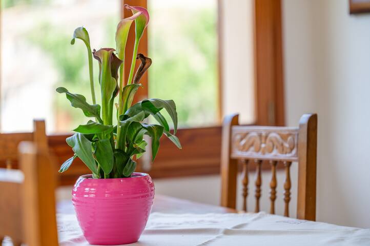 Son Sant Joan gallery image 5