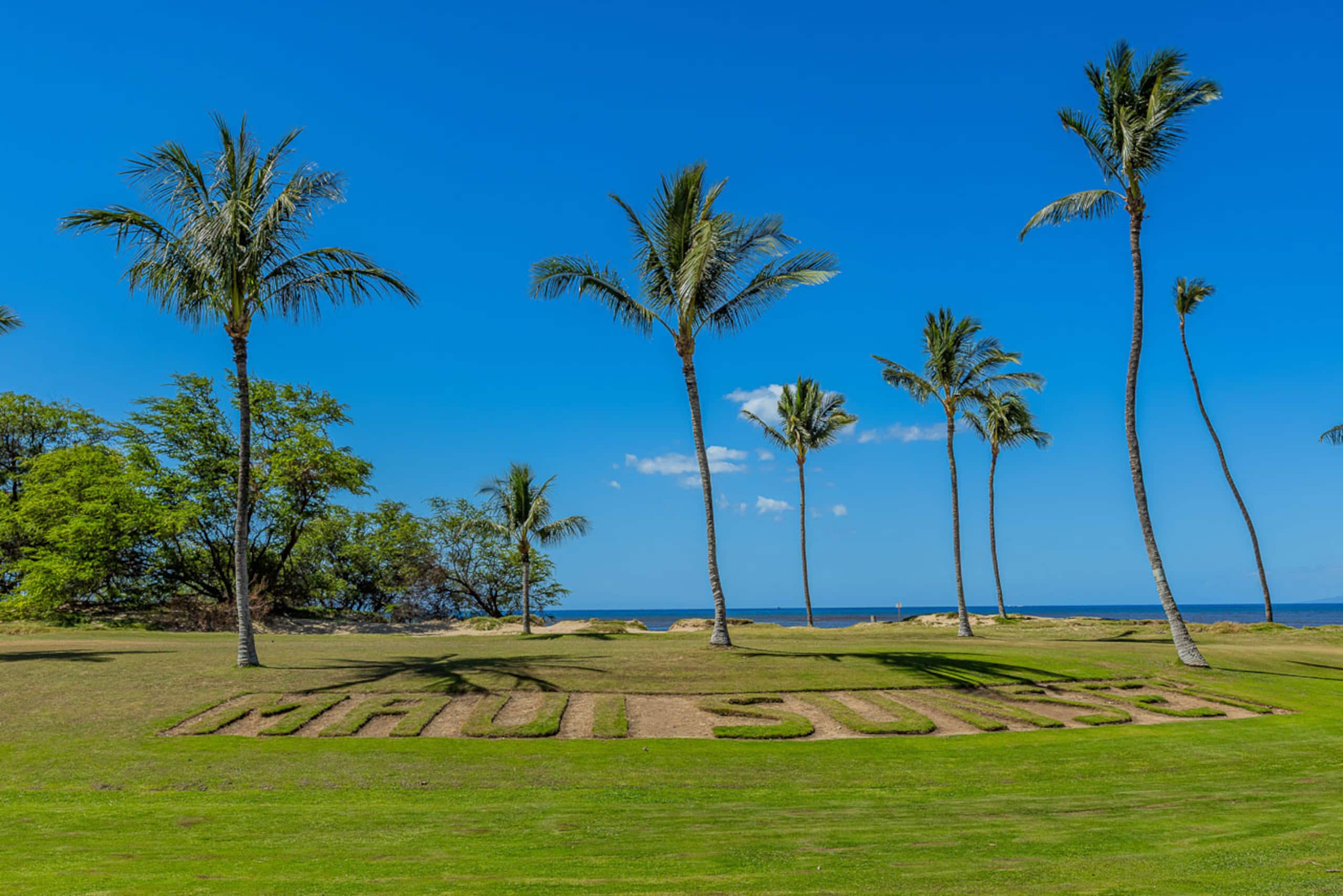 Condo in Kihei · ★4.89 · 2 bedrooms · 4 beds · 2 shared baths - Image 48