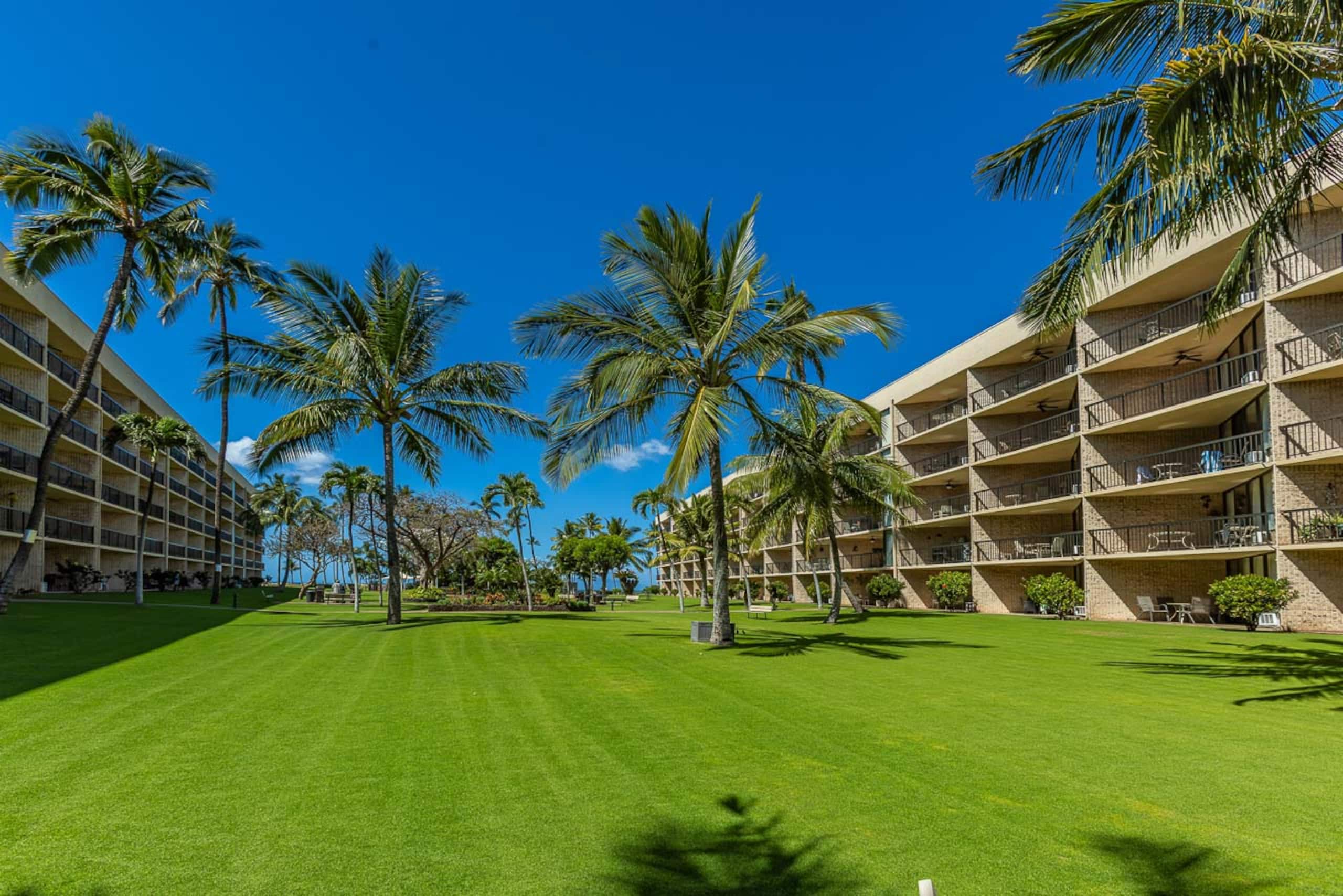 Condo in Kihei · ★4.89 · 2 bedrooms · 4 beds · 2 shared baths - Image 45