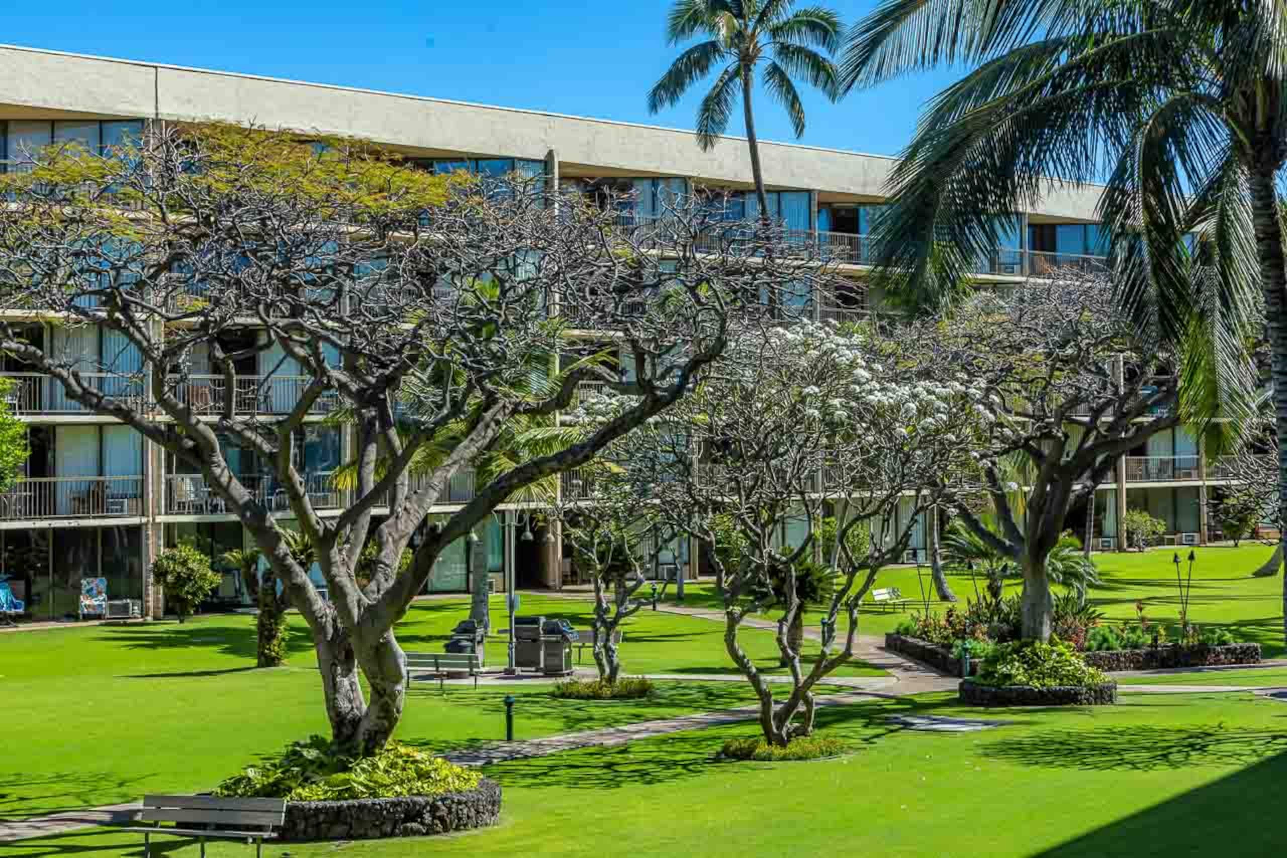 Condo in Kihei · ★4.89 · 2 bedrooms · 4 beds · 2 shared baths - Image 40