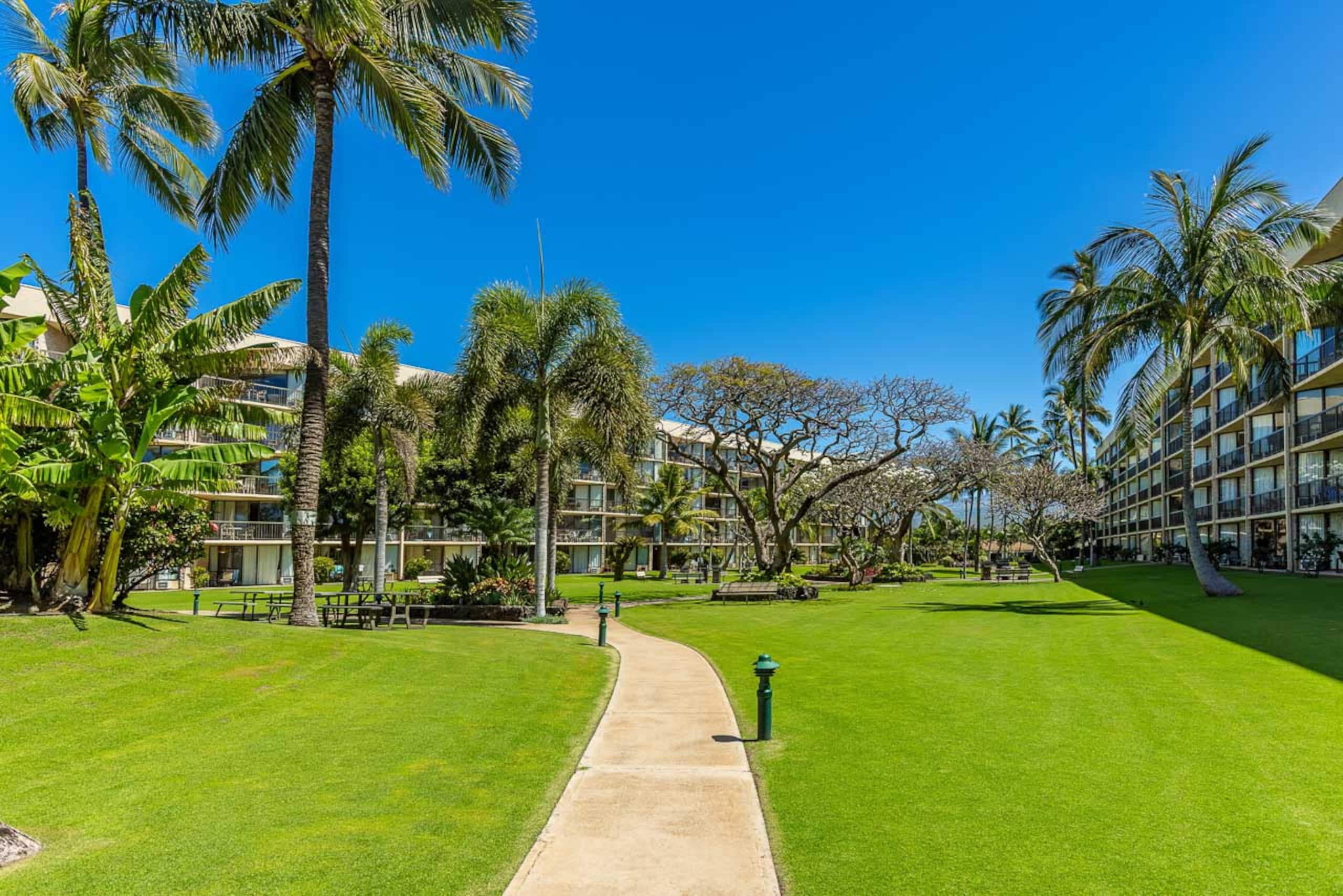 Condo in Kihei · ★4.89 · 2 bedrooms · 4 beds · 2 shared baths - Image 51