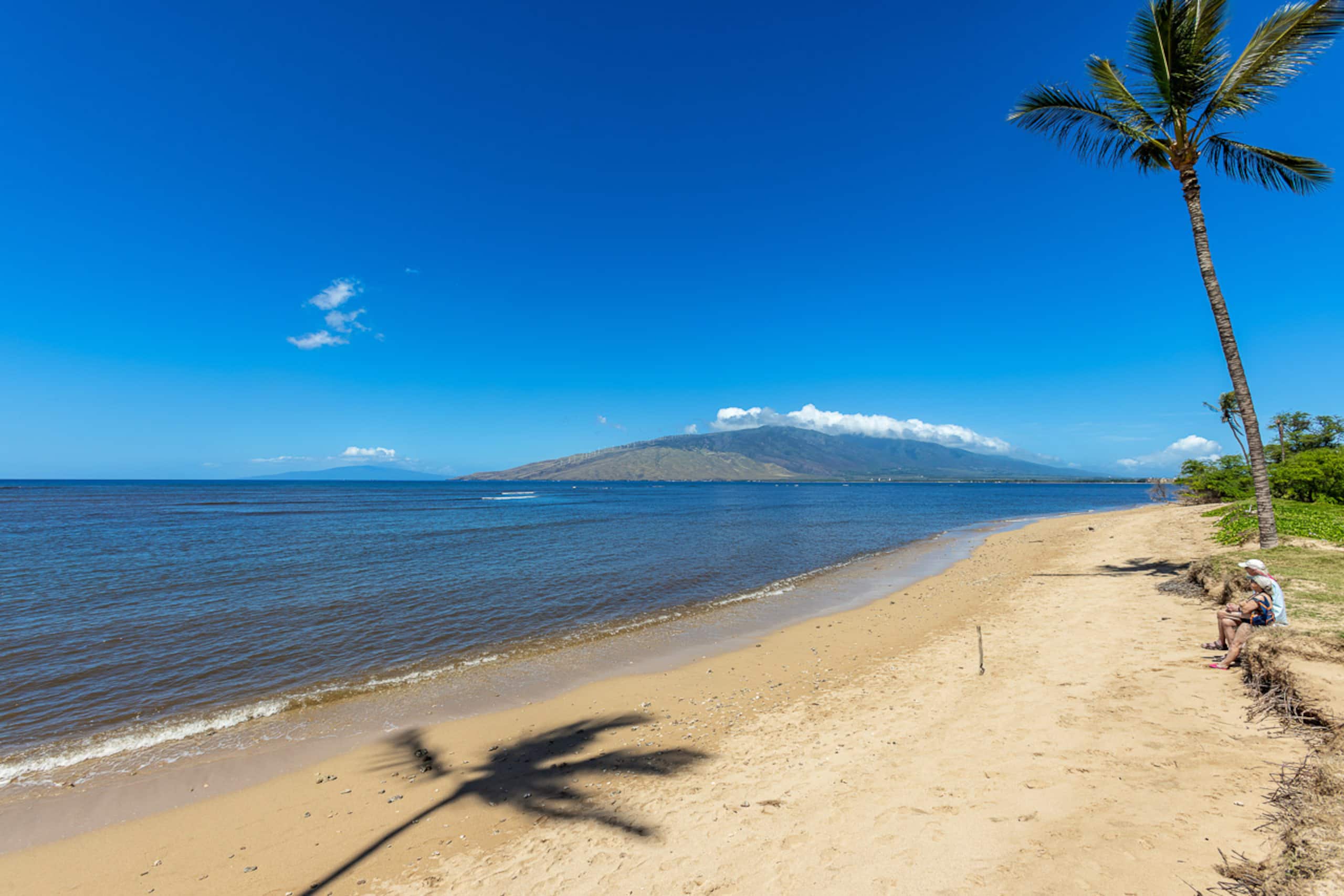 Condo in Kihei · ★4.89 · 2 bedrooms · 4 beds · 2 shared baths - Image 52