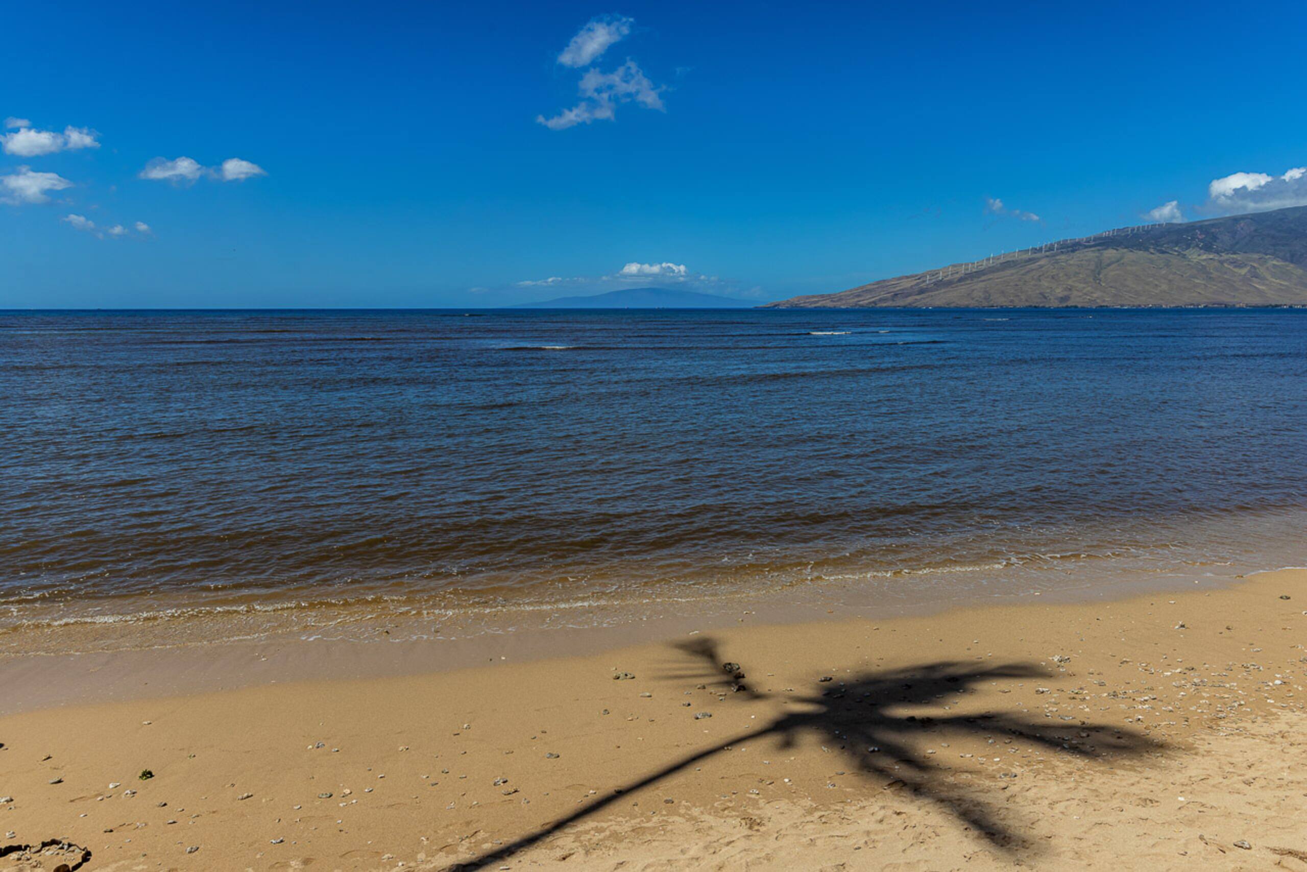Condo in Kihei · ★4.89 · 2 bedrooms · 4 beds · 2 shared baths - Image 54