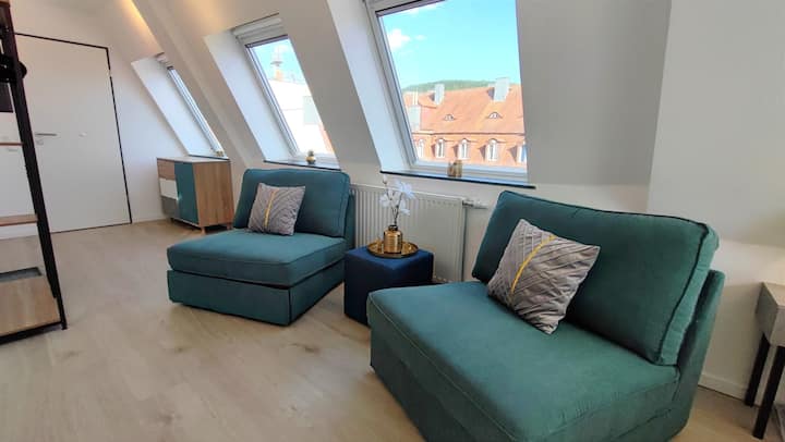 Pet-friendly Apt With Rooftop Terrace - Bad Kissingen