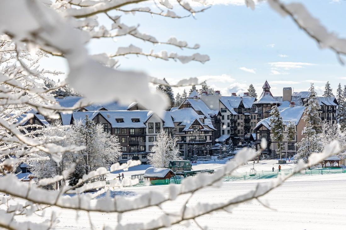 A winter scene captures the Roseberry building surrounded by snow-covered trees. The buildings display a mix of architectural styles, with hints of Alpine design. Snow blankets the ground, and skiers can be seen in the background, creating a serene, wintry atmosphere.
