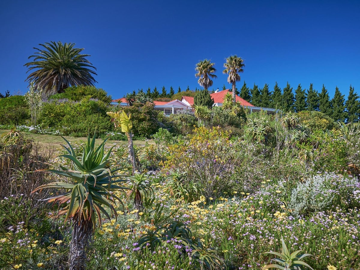A vibrant garden area features a variety of lush greenery and flowering plants. Palm trees and other tall vegetation are visible in the background, complementing the view of a charming house with a red roof set against a clear blue sky.