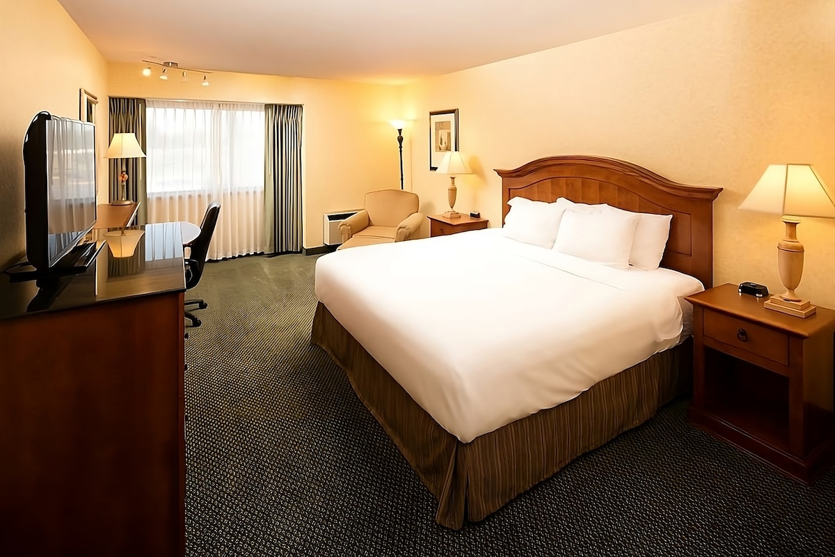 A spacious hotel room features a queen bed with a light-colored duvet and matching pillows. A wooden headboard complements warm tones in the room. A desk and chair are positioned near the window, alongside a cozy armchair. Soft lighting is provided by bedside lamps and a floor lamp.