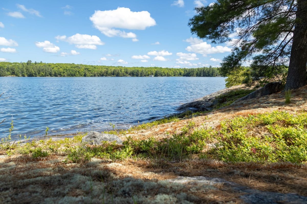 A serene lakeside view is presented, featuring calm waters reflecting fluffy white clouds and lush green trees. Rocky shoreline and soft moss accentuate the tranquil setting, inviting visitors to enjoy nature's beauty in a peaceful environment.
