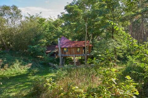 Die geheime Welt von Turisede The Poet's Forest H