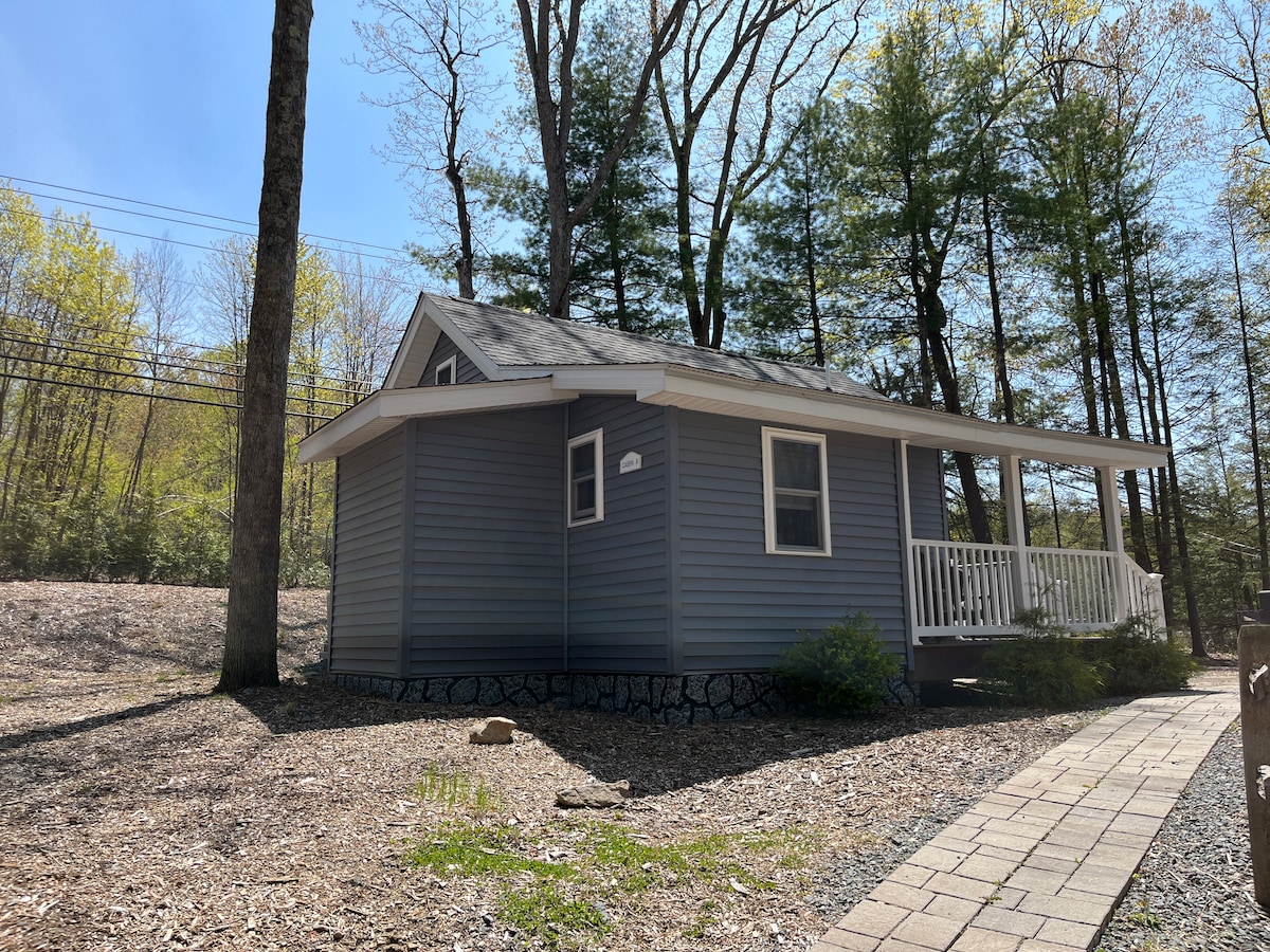 A cabin with a gray exterior is set among trees, featuring a white porch and railing. The approach is lined with stone and gravel, leading toward the entrance. Sunlight filters through the leaves, illuminating the natural surroundings.
