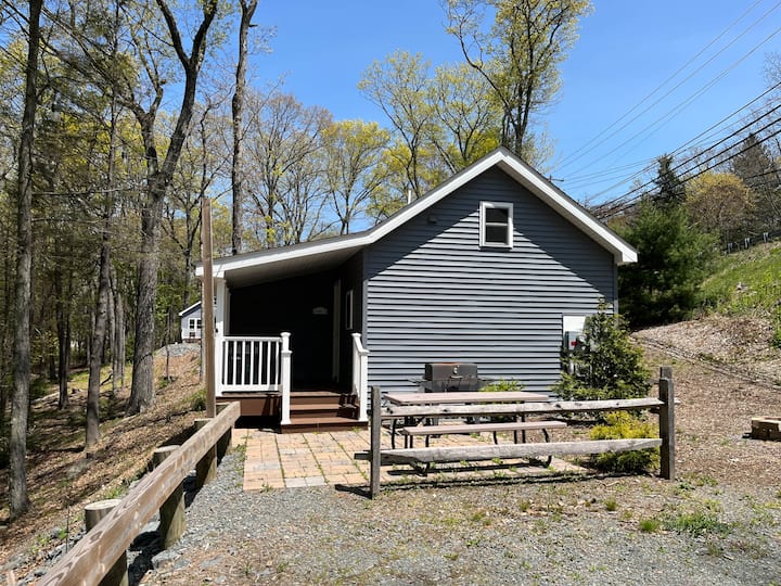 Lake Wallenpaupack Lakeside Cabins - Carins 13 - Lake Wallenpaupack, PA