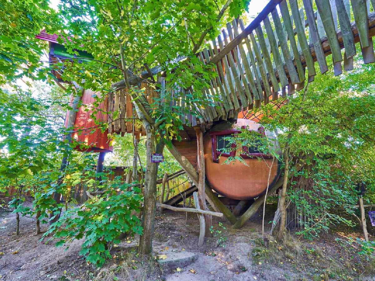 A charming treehouse structure is nestled among lush green trees. Wooden walkways are visible above, connecting the treetop retreat. The earthy tones of the treehouse blend seamlessly with the surrounding foliage, highlighting a natural harmony between architecture and nature.