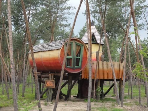 Die geheime Welt von Turisede Barrel Tree House