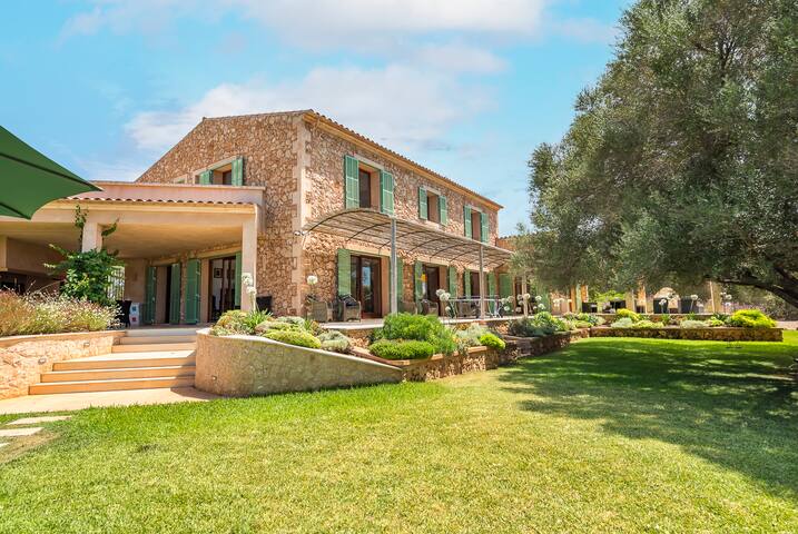 Los Hibiscus gallery image 5