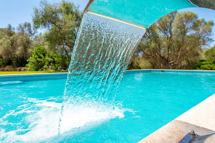 Los Hibiscus gallery image 4