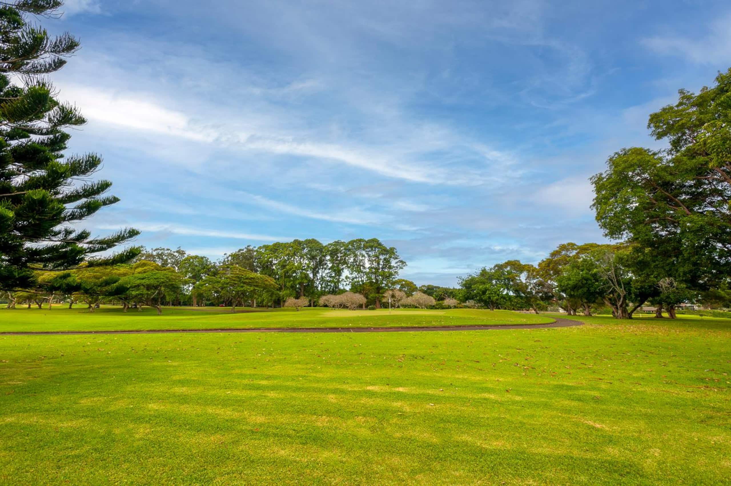 Home in Princeville · ★4.67 · 4 bedrooms · 4 beds · 3.5 baths - Image 25