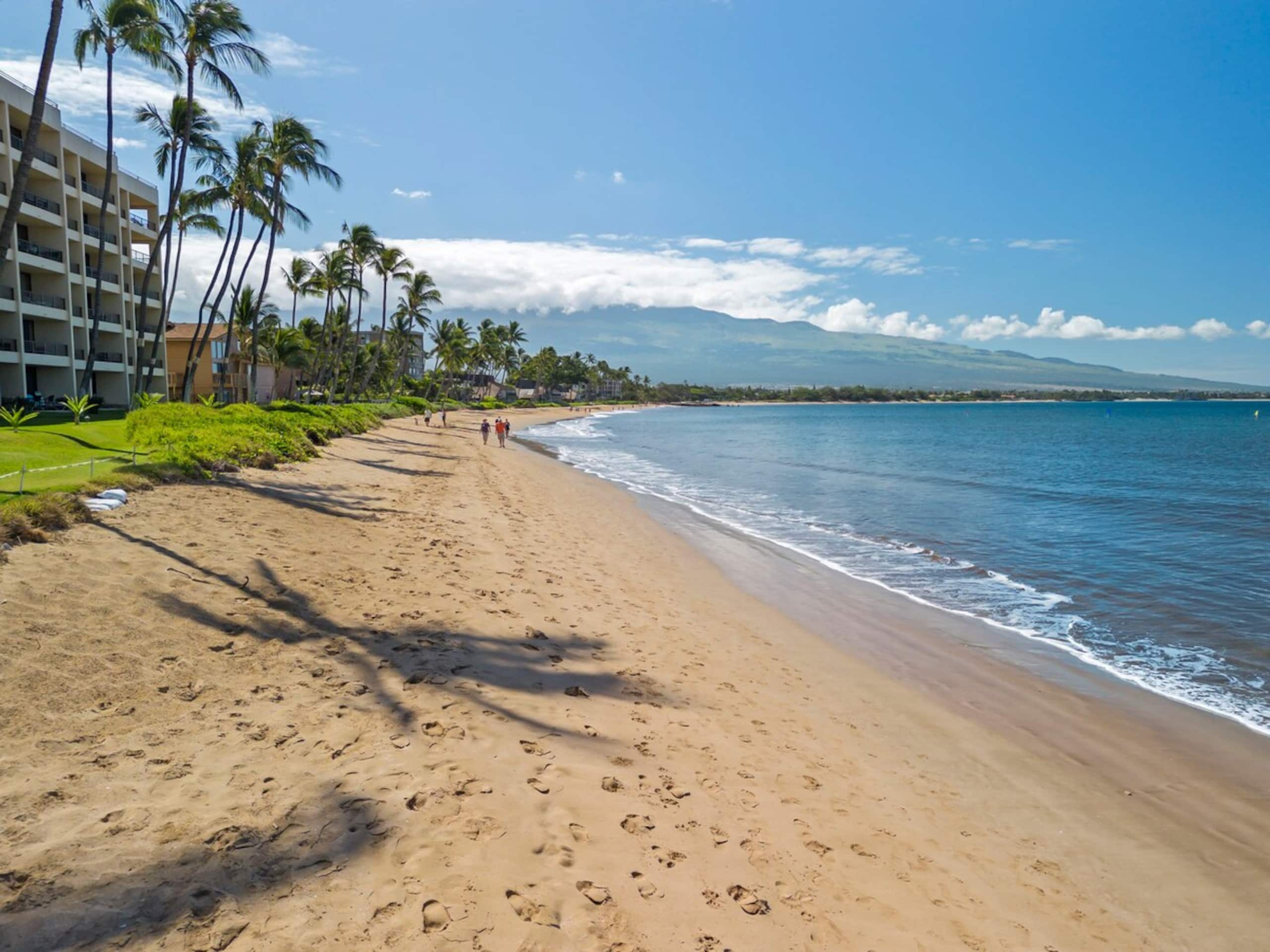 Condo in Kihei · ★4.96 · 1 bedroom · 2 beds · 1 private bath - Image 36
