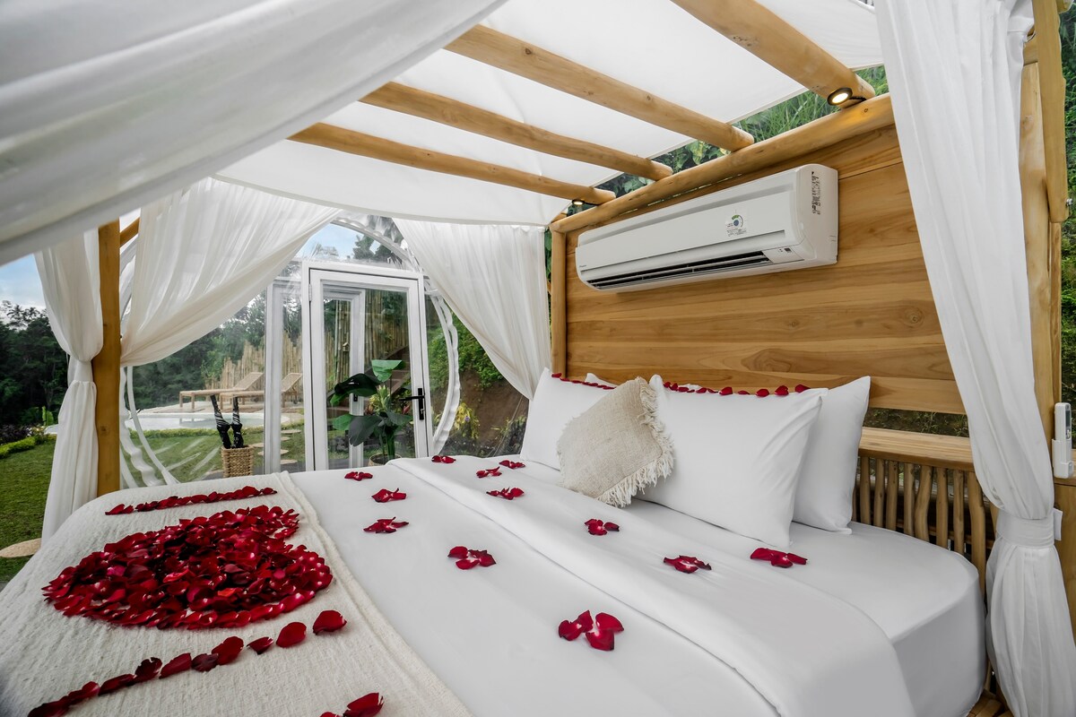 我们的泡沫装有空调系统和插座