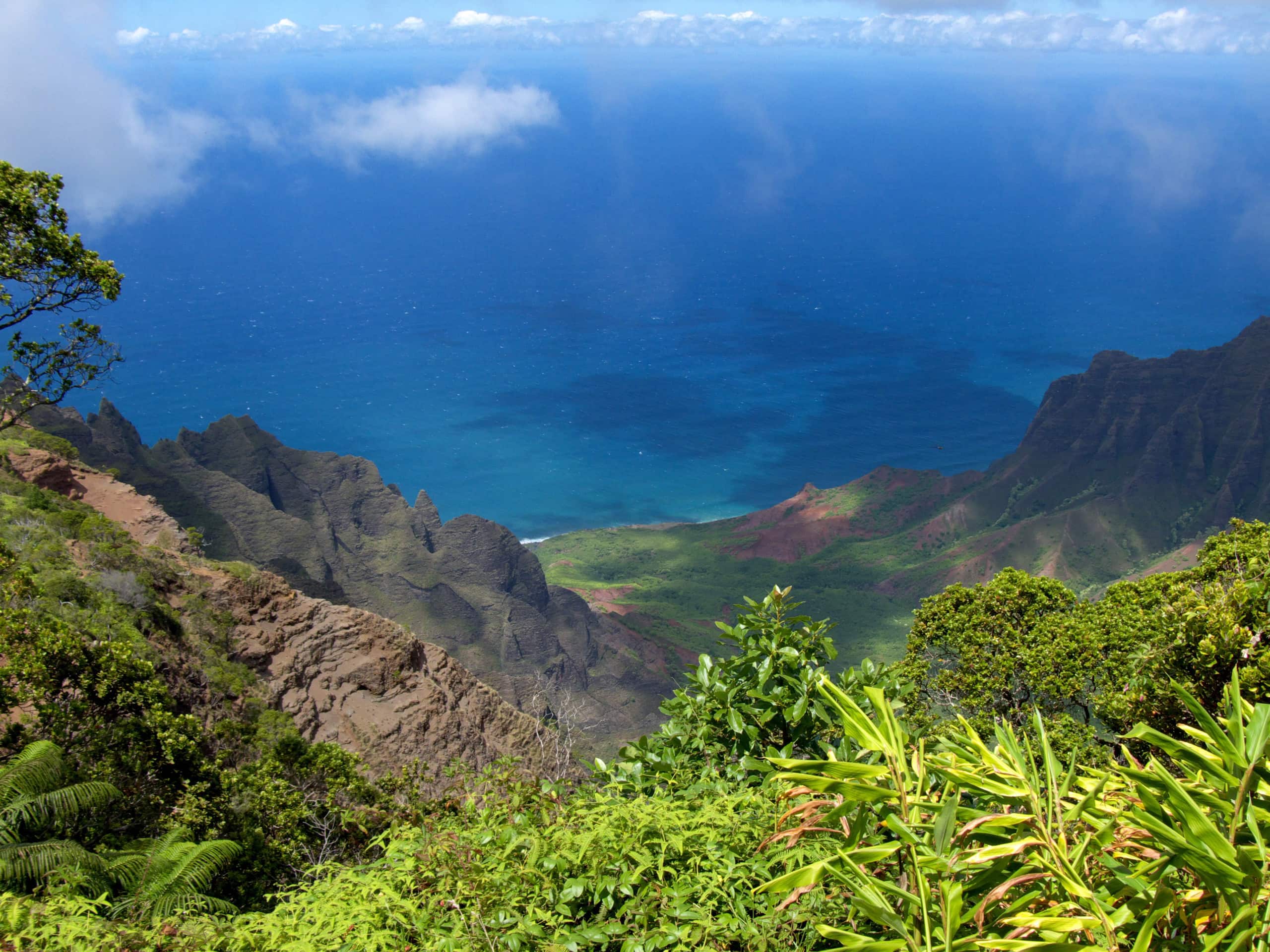 Condo in Koloa · ★4.72 · 1 bedroom · 1 bed · 1 bath - Image 41